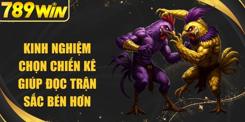 Kinh Nghiệm Chọn Chiến Kê